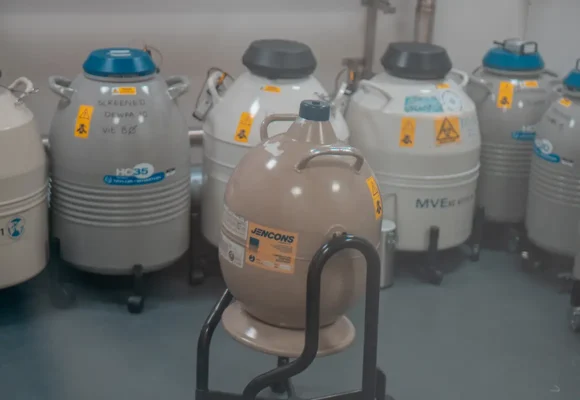 Voor wie is embryo cryopreservatie geschikt?