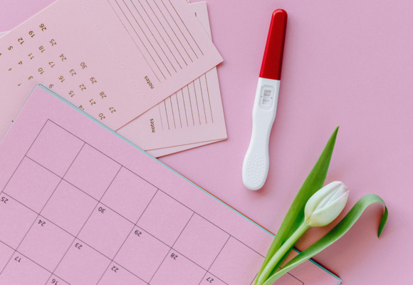 Wat is het optimale moment voor bevruchting?